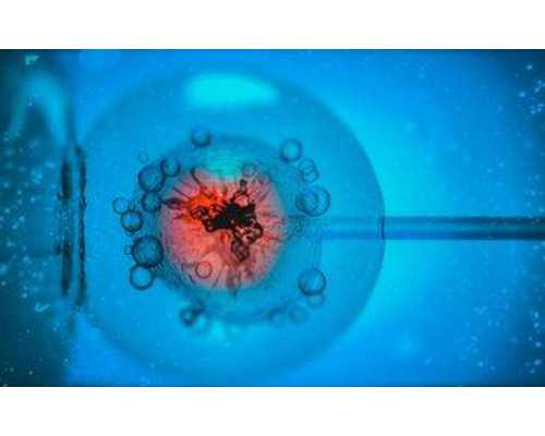 哪些人适合在北京申请供精？详细解读适用人群