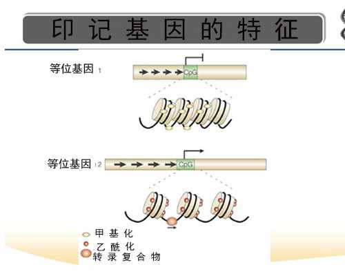 北京四代试管的心理支持体系：帮助患者顺利度过难关