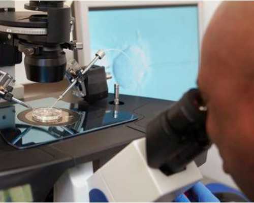 试管宝宝畸形与遗传有关吗？