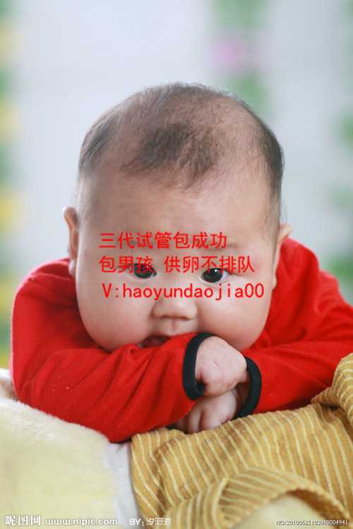 北京供卵助孕步骤_北京哪有可以做供卵试管_泰国做试管婴儿的医院李敏镐个人